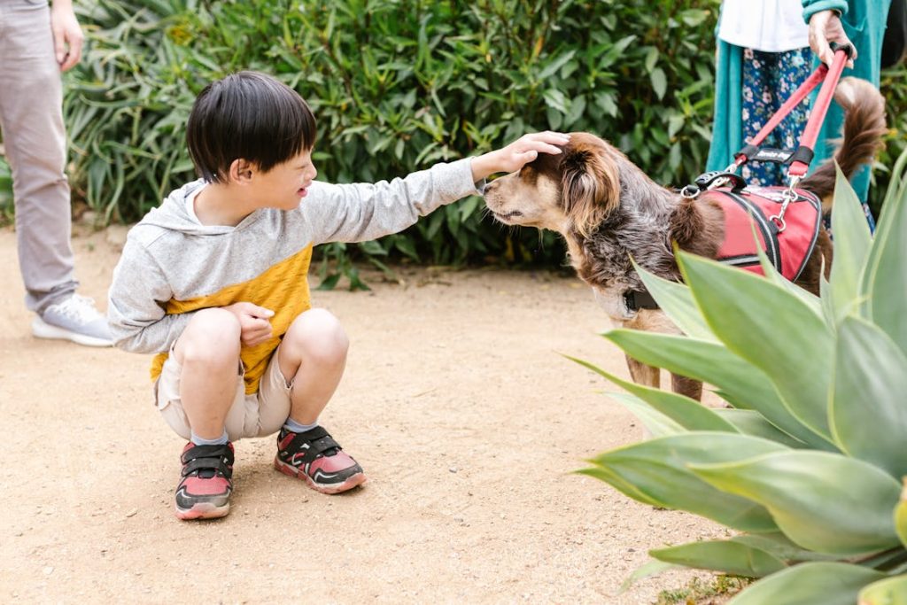 How to Juggle Responsibilities as a Parent of a Special Needs Child?