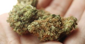 How to Get a Medical Marijuana Card in Arizona